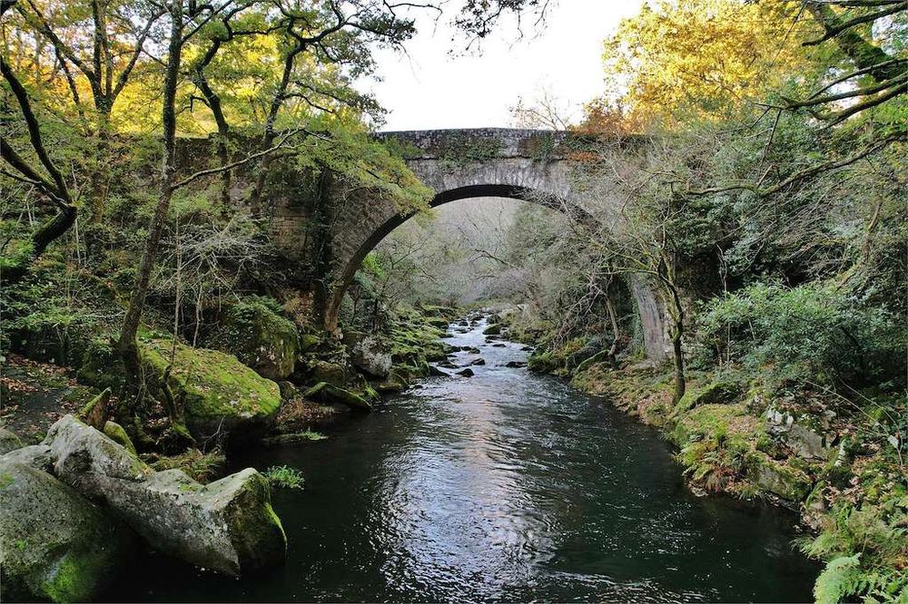 Puente de piedra sobre un río entre bosques de Galicia